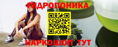 крисы Ирбит