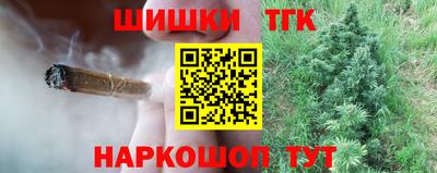 крисы Ирбит