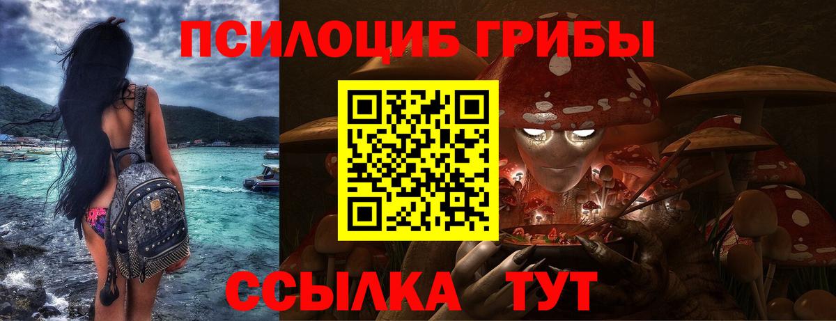 Псилоцибиновые грибы Magic Shrooms  Вход с VPN  Краснодар  Псилоцибиновые грибы Psilocybe 