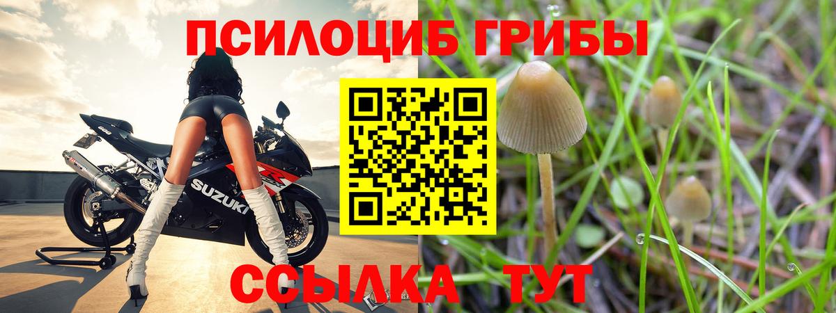 Галлюциногенные грибы Cubensis Краснодар